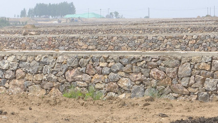 泰安新泰市樓德鎮 土地整理賦能特色產業，繪就鄉村振興新畫卷