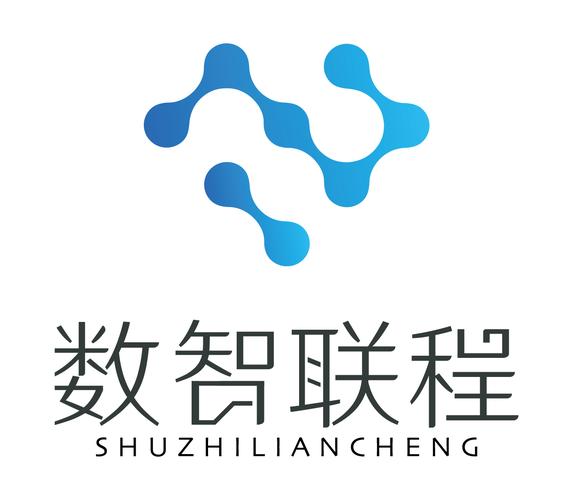 數(shù)智引領(lǐng)，聯(lián)程賦能——數(shù)智聯(lián)程（重慶）科技網(wǎng)絡(luò)技術(shù)服務(wù)深度解析